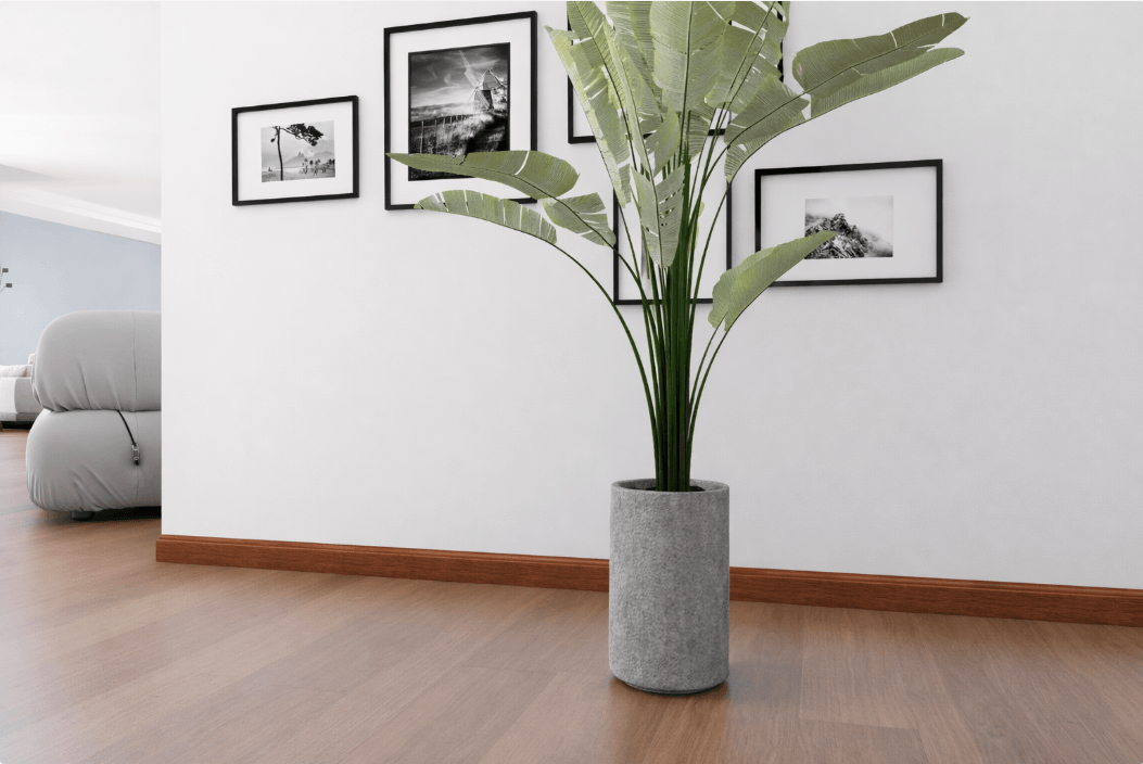 Sophistication in Every Detail